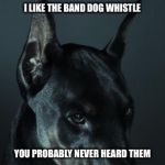 doberman | I LIKE THE BAND DOG WHISTLE YOU PROBABLY NEVER HEARD THEM | image tagged in doberman | made w/ Imgflip meme maker