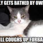 Impatient Kitty | ONLY GETS BATHED BY OWNER STILL COUGHS UP FURBALLS | image tagged in impatient kitty | made w/ Imgflip meme maker