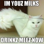 Funny kitties | IM YOUZ MILKS DRINKZ MEEZ NOW | image tagged in funny kitties | made w/ Imgflip meme maker