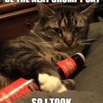 Alcoholic Cat | I DIDN'T WANT TO BE THE NEXT GRUMPY CAT SO I TOOK UP DRINKING! | image tagged in alcoholic cat,alcohol,cat,grumpy cat,not so grumpy cat | made w/ Imgflip meme maker