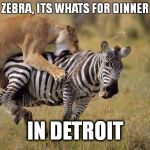 zebrah | ZEBRA, ITS WHATS FOR DINNER IN DETROIT | image tagged in zebrah | made w/ Imgflip meme maker