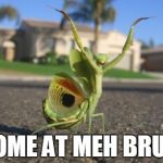 u wat m8 mantis | COME AT MEH BRUH | image tagged in u wat m8 mantis | made w/ Imgflip meme maker