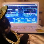 DJ Cat Bling