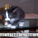 KittenGiftOff | GETITOFFGETITOFFGETITOFF!!!! | image tagged in kittengiftoff | made w/ Imgflip meme maker