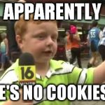 shortbread cookies | APPARENTLY THERE'S NO COOKIES LEFT | image tagged in apparently kid | made w/ Imgflip meme maker