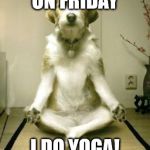 Friday Yoga dog | ON FRIDAY I DO YOGA! | image tagged in friday yoga dog | made w/ Imgflip meme maker