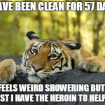 My life was in shambles. | I HAVE BEEN CLEAN FOR 57 DAYS IT FEELS WEIRD SHOWERING BUT AT LEAST I HAVE THE HEROIN TO HELP ME | image tagged in confession tiger,memes,funny | made w/ Imgflip meme maker