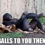 MonkeyBalls | BALLS TO YOU THEN! | image tagged in monkeyballs | made w/ Imgflip meme maker