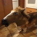 Horsedog