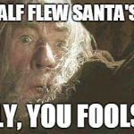 Gandalf Fly You Fools Meme Generator - Imgflip