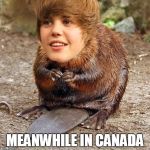 meanwhile in canada | MEANWHILE IN CANADA | image tagged in justin beaver,puns | made w/ Imgflip meme maker