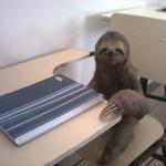 sloth student meme