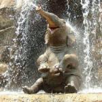 Baby elephant meme