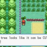Pokemon Tree meme