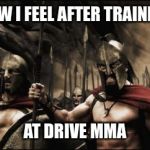 Spartans | HOW I FEEL AFTER TRAINING AT DRIVE MMA | image tagged in spartans | made w/ Imgflip meme maker