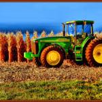 Tractor in Corn field