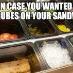 THANKS SUBWAY | JUST IN CASE YOU WANTED SOME ICE CUBES ON YOUR SANDWICH | image tagged in thanks subway | made w/ Imgflip meme maker