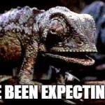 Lizard | WE'VE BEEN EXPECTING YOU | image tagged in lizard | made w/ Imgflip meme maker