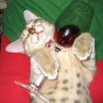 Pussy Juice!!