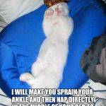 FUCKIN' CATS | I WILL MAKE YOU SPRAIN YOUR ANKLE AND THEN NAP DIRECTLY IN THE MIDDLE OF YOUR BED TO ENSURE A SLOW, PAINFUL RECOVERY. | image tagged in fuckin' cats,scumbag | made w/ Imgflip meme maker