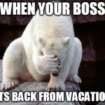sad polar bear | WHEN YOUR BOSS GETS BACK FROM VACATION... | image tagged in sad polar bear | made w/ Imgflip meme maker