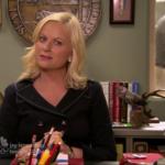 Leslie Knope Youth culture