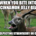 Disgusted Deer | WHEN YOU BITE INTO A CINNAMON JELLY BEAN WHEN EXPECTING STRAWBERRY OR CHERRY | image tagged in disgusted deer | made w/ Imgflip meme maker