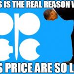 Obama bows down to opec | THIS IS THE REAL REASON WHY GAS PRICE ARE SO LOW | image tagged in obama bows to opec,obama,opec,memes | made w/ Imgflip meme maker