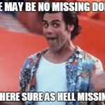 Ace Ventura | THERE MAY BE NO MISSING DOLPHIN BUT THERE SURE AS HELL MISSING PSI | image tagged in ace ventura | made w/ Imgflip meme maker