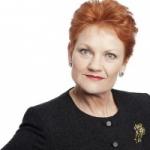 Pauline Hanson meme