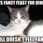 Impatient Kitty | EATS FANCY FEAST FOR DINNER STILL DOESN'T FEEL FANCY | image tagged in impatient kitty | made w/ Imgflip meme maker