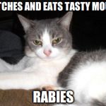Impatient Kitty | CATCHES AND EATS TASTY MOUSE RABIES | image tagged in impatient kitty | made w/ Imgflip meme maker