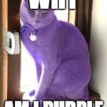 Pussy purple | WHY AM I PURPLE | image tagged in pussy purple | made w/ Imgflip meme maker