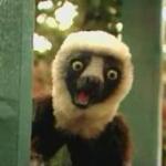 Zoboomafoo meme