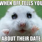 Hamster cute | WHEN BFF TELLS YOU ABOUT THEIR DATE | image tagged in hamster cute | made w/ Imgflip meme maker