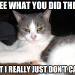 Impatient Kitty | I SEE WHAT YOU DID THERE BUT I REALLY JUST DON'T CARE | image tagged in impatient kitty | made w/ Imgflip meme maker