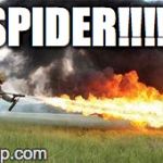 Kill it with fire | SPIDER!!!!! | image tagged in kill it with fire | made w/ Imgflip meme maker