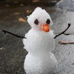 Florida Snowman