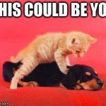 Free Massage | THIS COULD BE YOU | image tagged in free massage | made w/ Imgflip meme maker