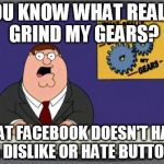 YOU KNOW WHAT REALLY GRIND MY GEARS? THAT FACEBOOK DOESN'T HAVE A DISLIKE OR HATE BUTTON. | image tagged in you know what grinds my gears | made w/ Imgflip meme maker