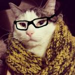 Hipster Cat meme