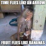 Drunken Ass monkey | TIME FLIES LIKE AN ARROW FRUIT FLIES LIKE BANANAS | image tagged in drunken ass monkey | made w/ Imgflip meme maker