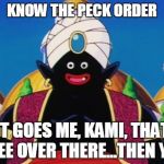 Peck Order | KNOW THE PECK ORDER IT GOES ME, KAMI, THAT TREE OVER THERE...THEN YOU | image tagged in me popo | made w/ Imgflip meme maker