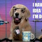 No Idea Dog in Lab Coat meme