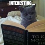Reading Cat | INTERESTING ... | image tagged in reading cat | made w/ Imgflip meme maker