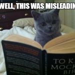 Reading Cat | WELL, THIS WAS MISLEADING | image tagged in reading cat | made w/ Imgflip meme maker