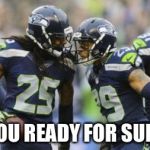 Seahawks | ARE YOU READY FOR SUNDAY? | image tagged in seahawks | made w/ Imgflip meme maker