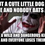 everyone loses their minds | PUT A CUTE LITTLE DOG IN A CAGE AND NOBODY BATS AN EYE PUT A WILD AND DANGEROUS KID IN A CAGE AND EVERYONE LOSES THEIR MINDS | image tagged in everyone loses their minds | made w/ Imgflip meme maker