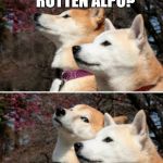 constipation dogs | WHY DO I SMELL ROTTEN ALPO? NO YOU DIDN'T | image tagged in constipation dogs | made w/ Imgflip meme maker