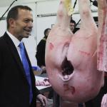 Abbott and the Pigs Arse